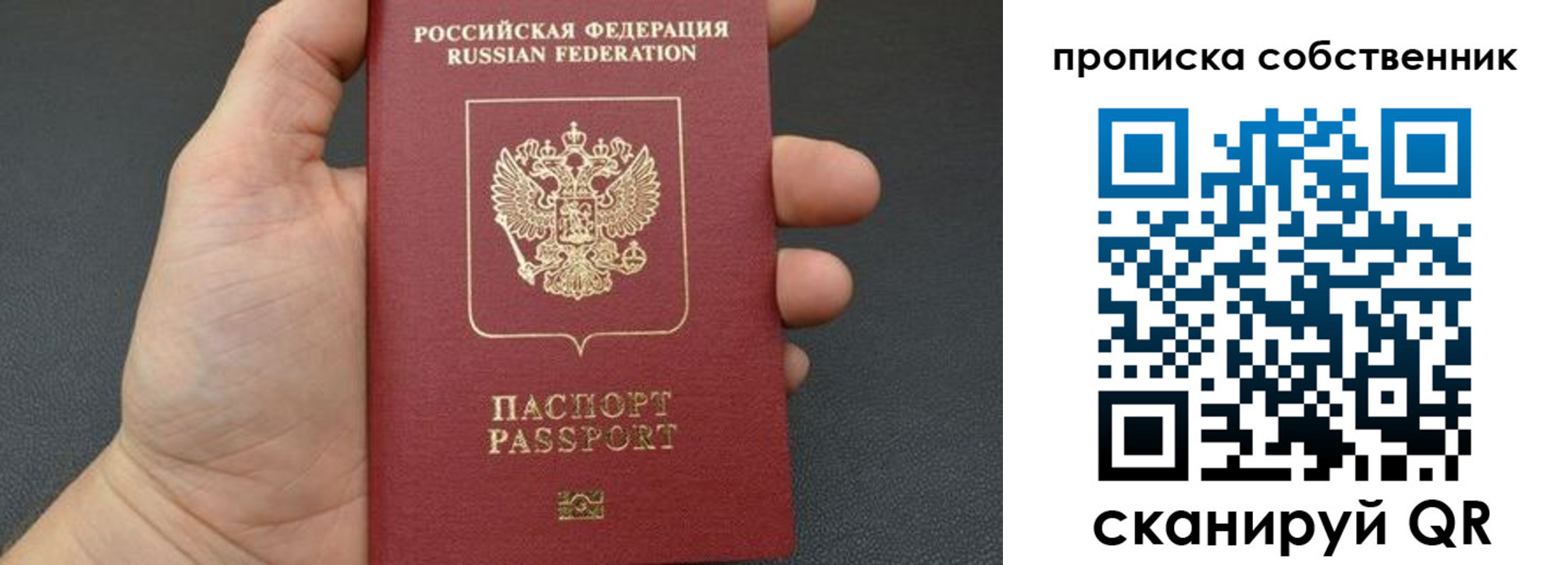 прописка паспорт в Камышлове